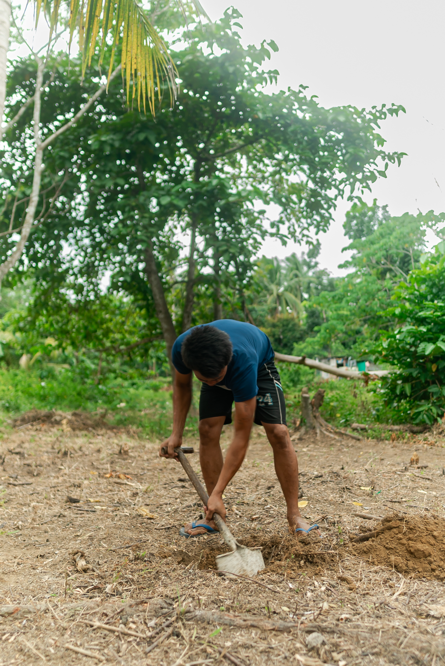 CAN YOU STOP A LANDSLIDE BEFORE IT STARTS? Student researchers invent soil stabilization system — photo 2