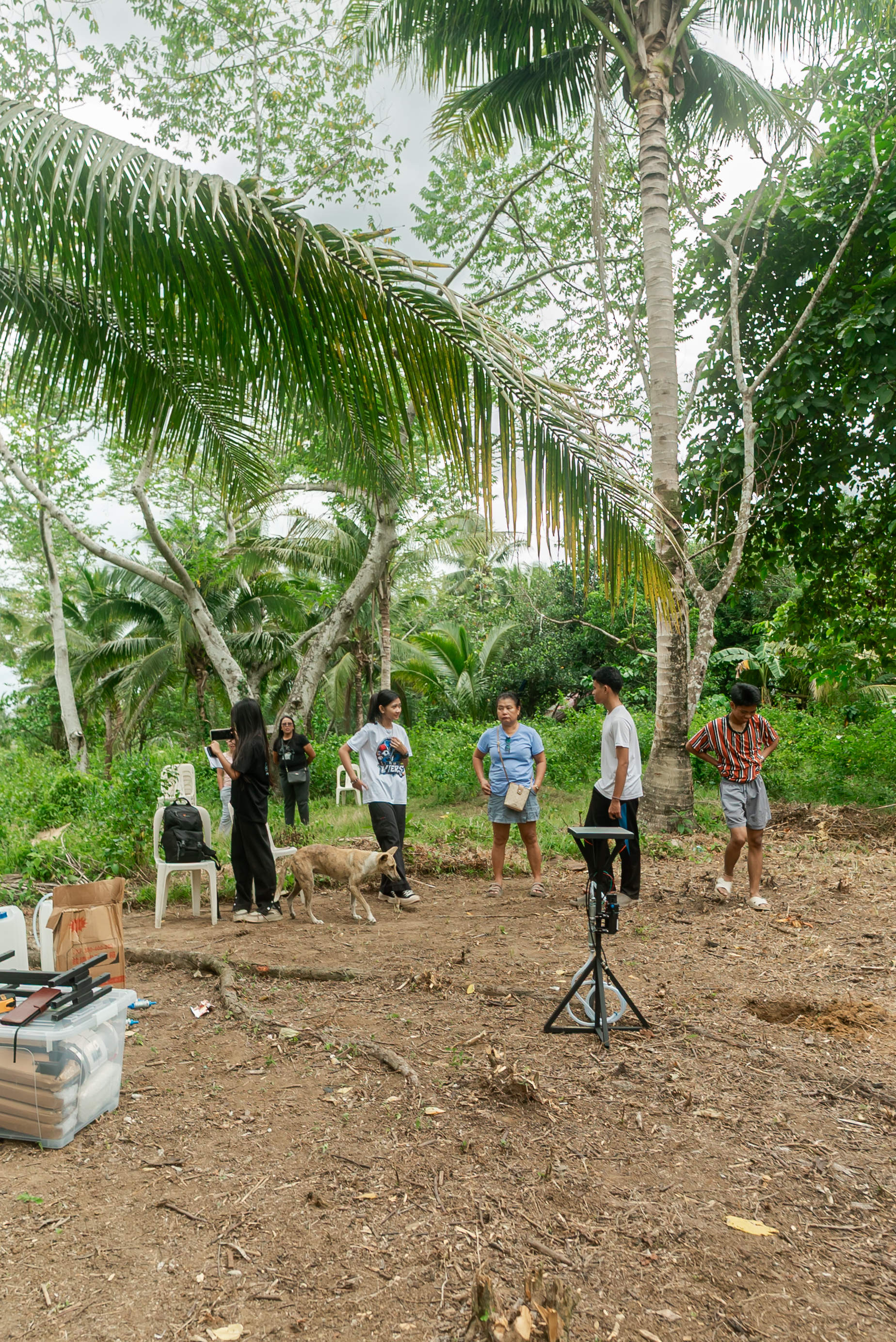 CAN YOU STOP A LANDSLIDE BEFORE IT STARTS? Student researchers invent soil stabilization system — photo 5