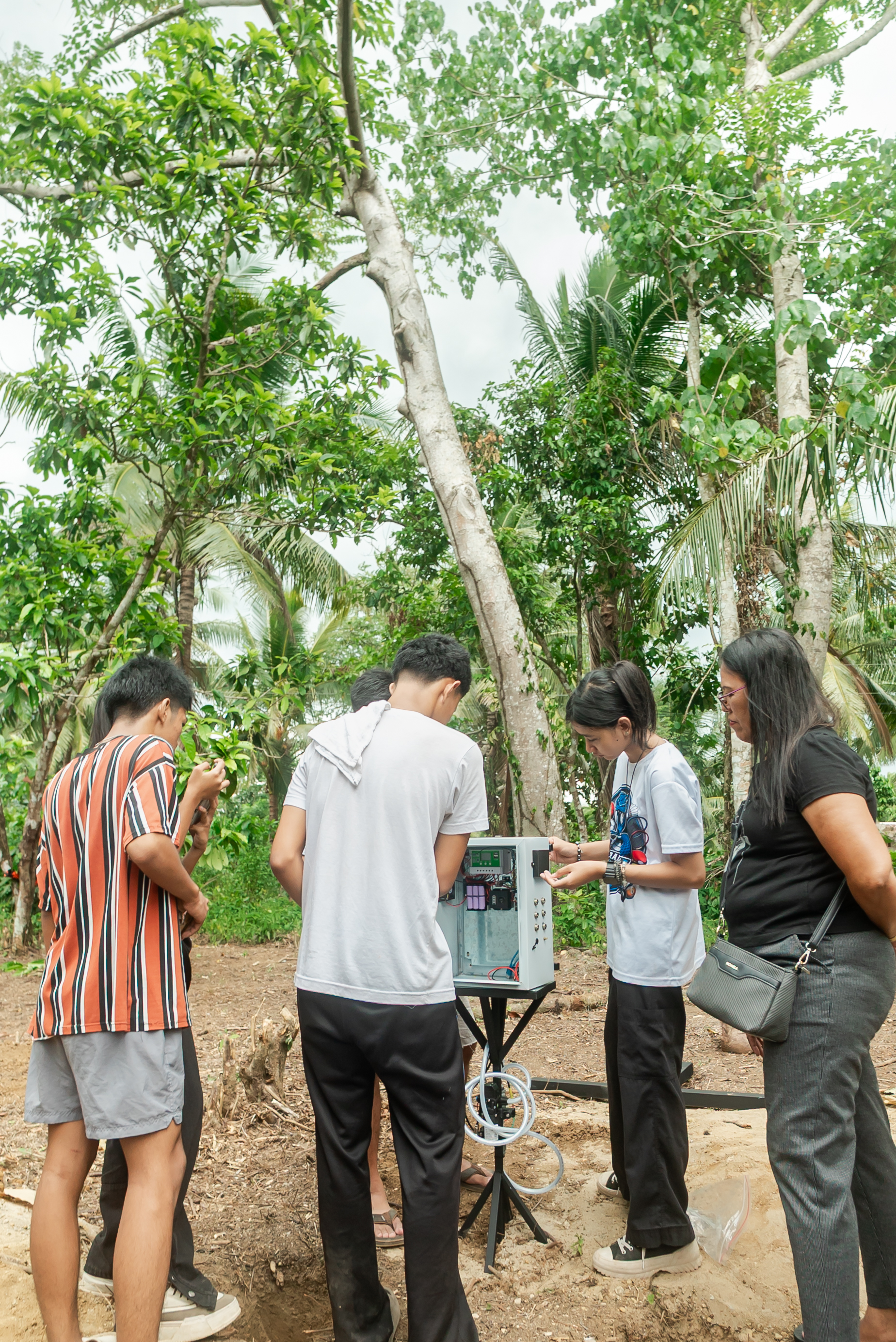 CAN YOU STOP A LANDSLIDE BEFORE IT STARTS? Student researchers invent soil stabilization system — photo 16