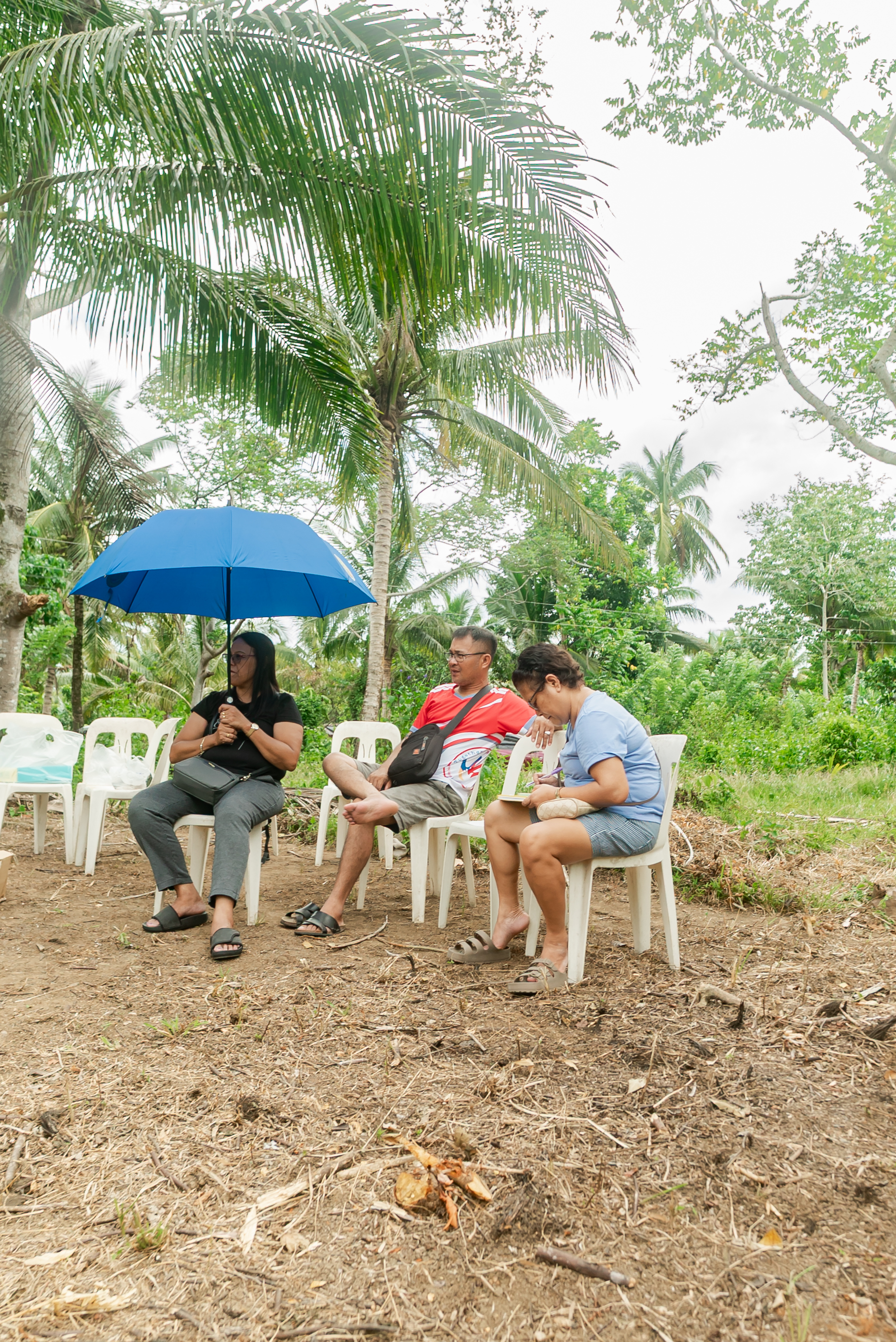 CAN YOU STOP A LANDSLIDE BEFORE IT STARTS? Student researchers invent soil stabilization system — photo 28